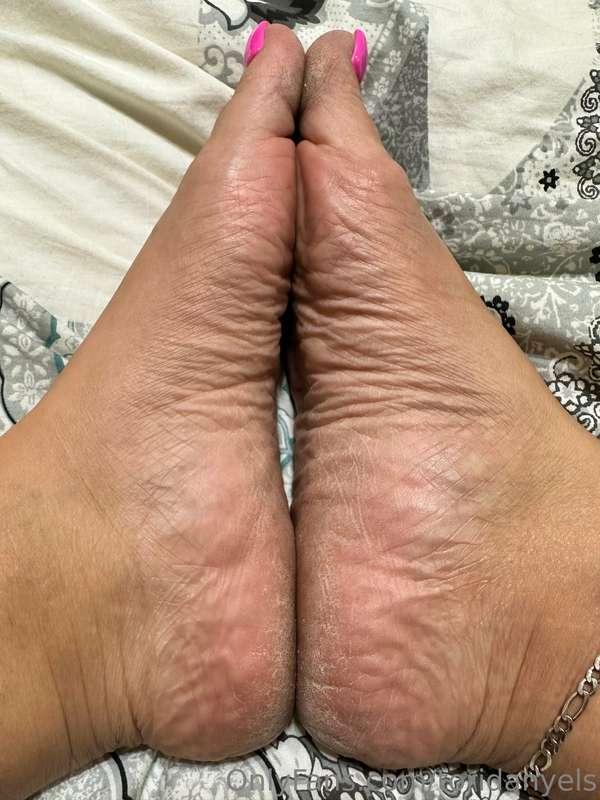 toridanyels main image