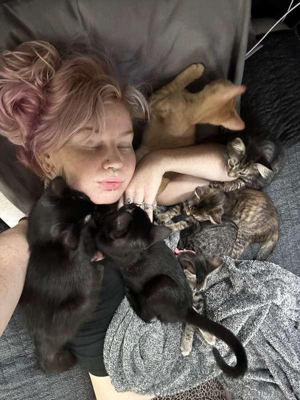 We can both wake up with a face full of kitty sometimes 🤭