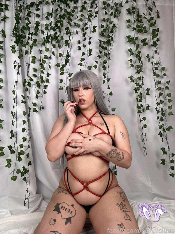 bunnisluut image #36