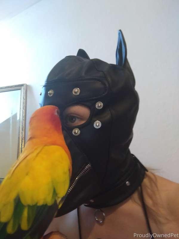 Poor Japhy has to put up with so much weirdness