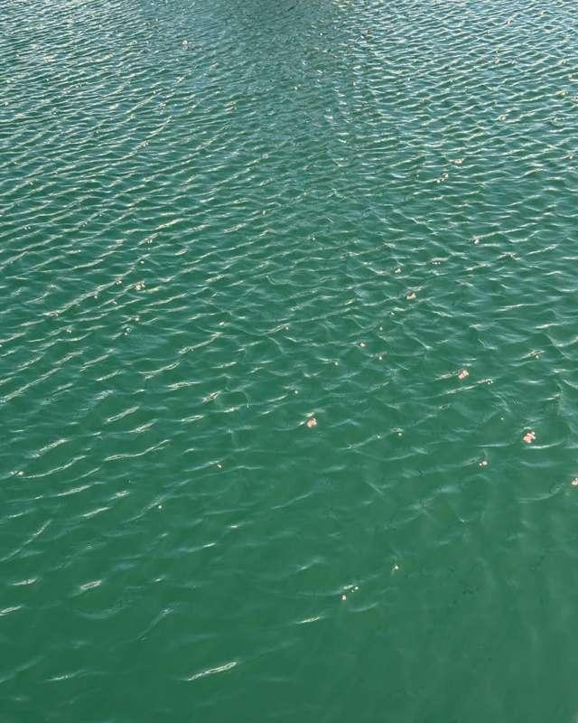 Flow 🌊