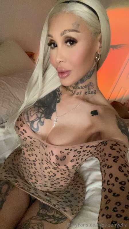 Tuesdays Titties 🤭🐝