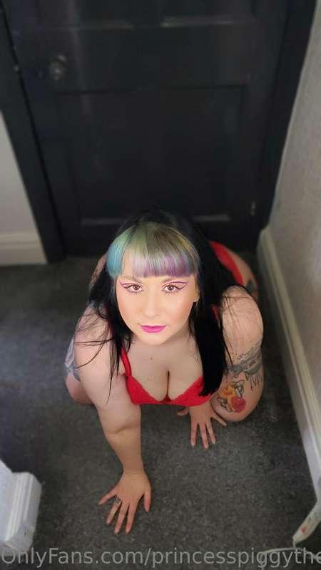 princesspiggythe1st image #8