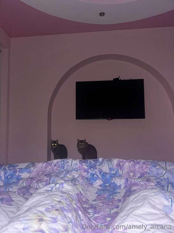 😂😂😂😂😂😂😂My nighttime security guards. Oh my god, it’s so cree..