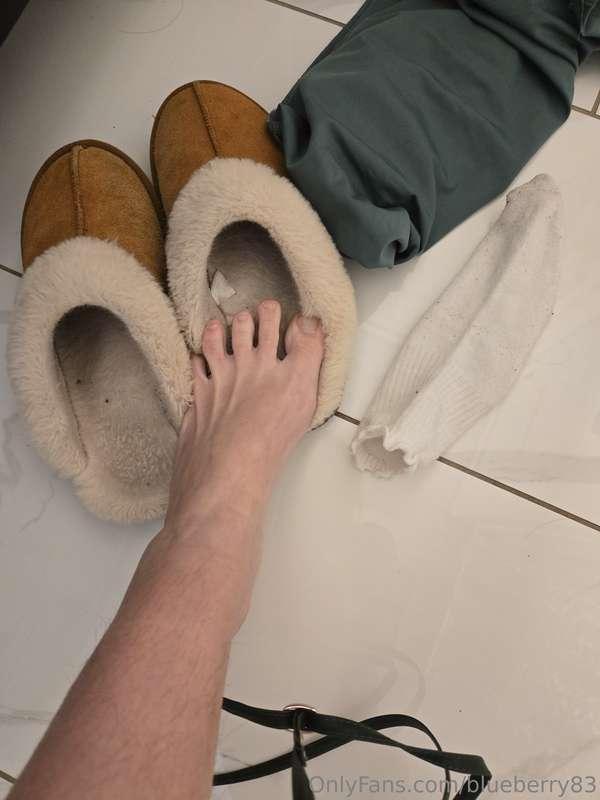 blueberry83 image #5