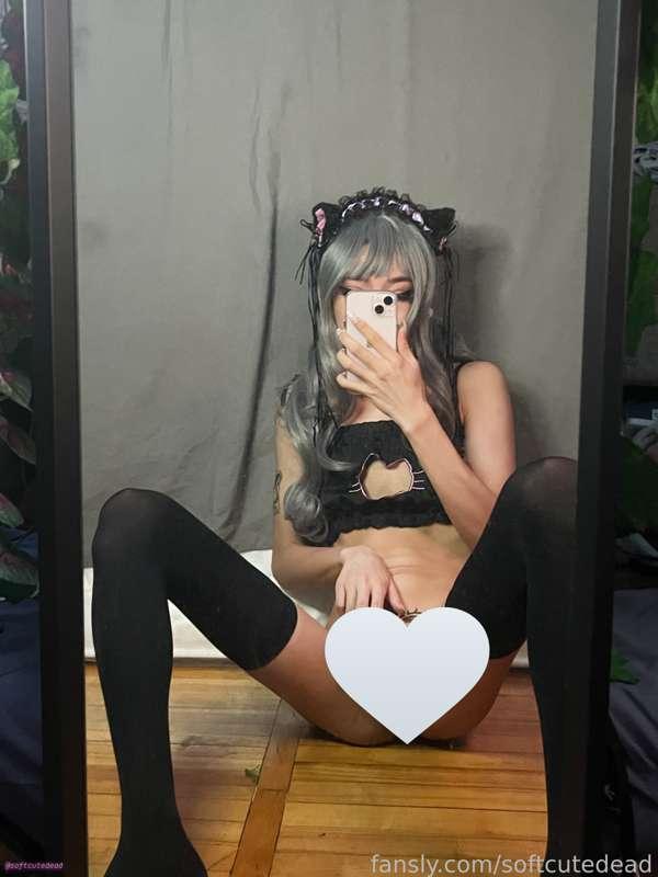 softcutedead image #1