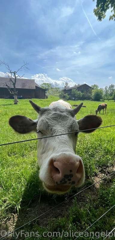 I took a walk today and there was a cute little guy asking f..