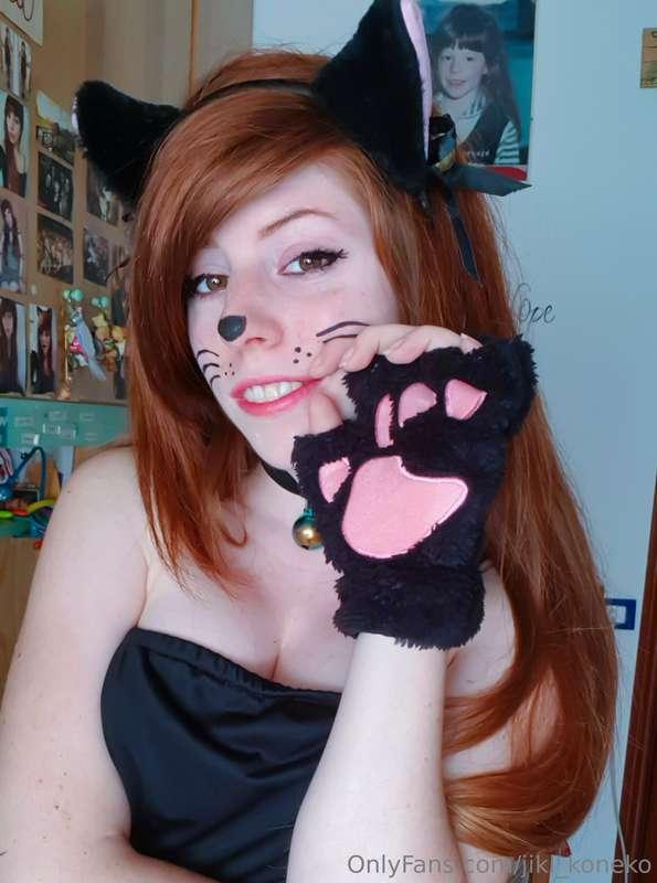 Meow 