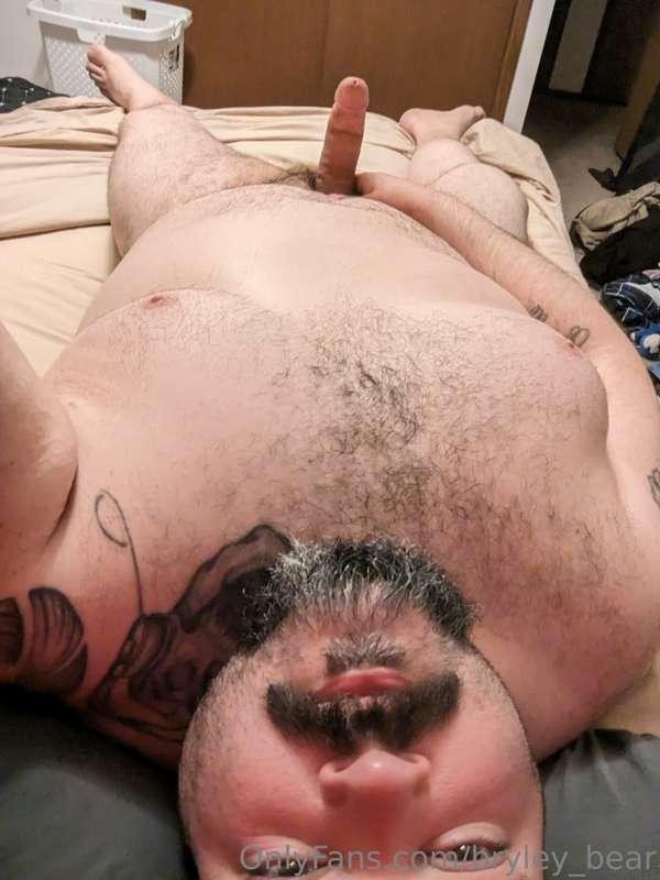 bryley_bear image #1