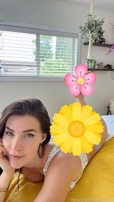 kittyplays image #2