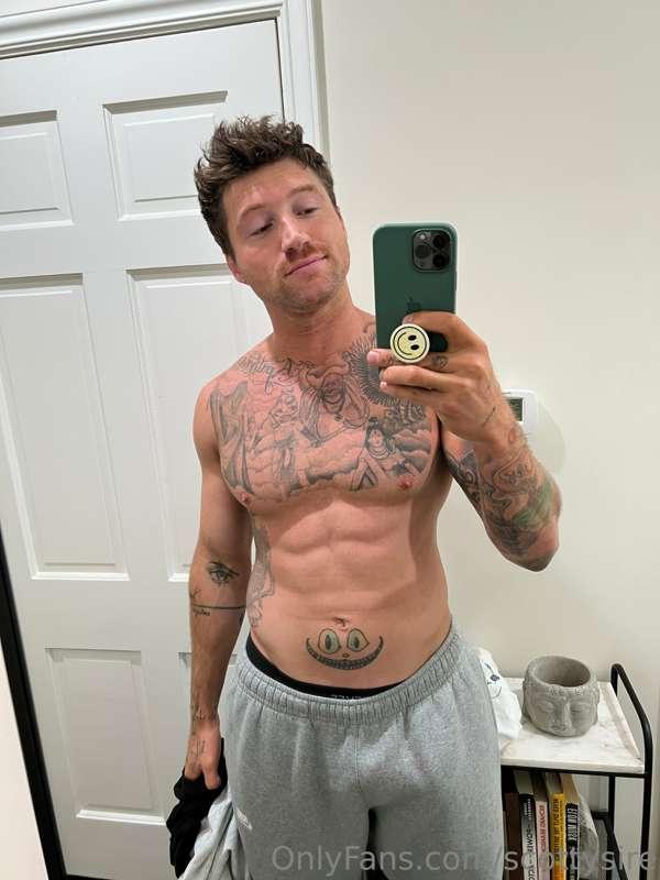 scottysire image #1