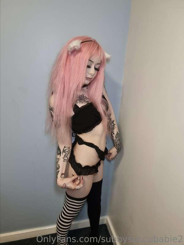 meow 💕 how is everyone today?