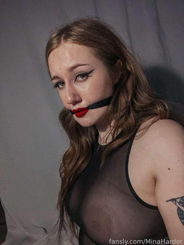 minaharder image #1