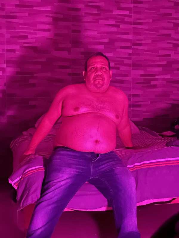 gordocogerico image #4