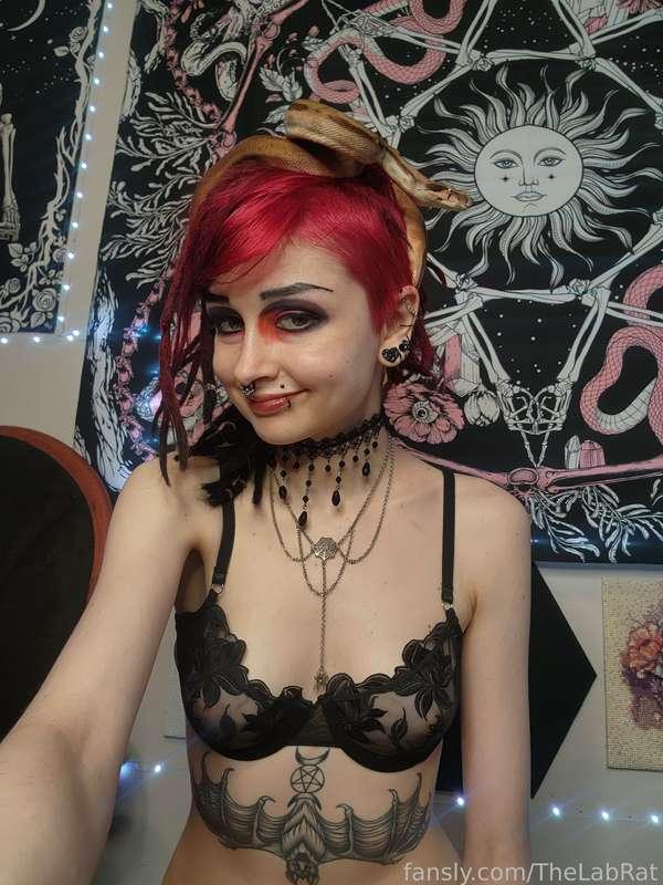 thelabrat image #3