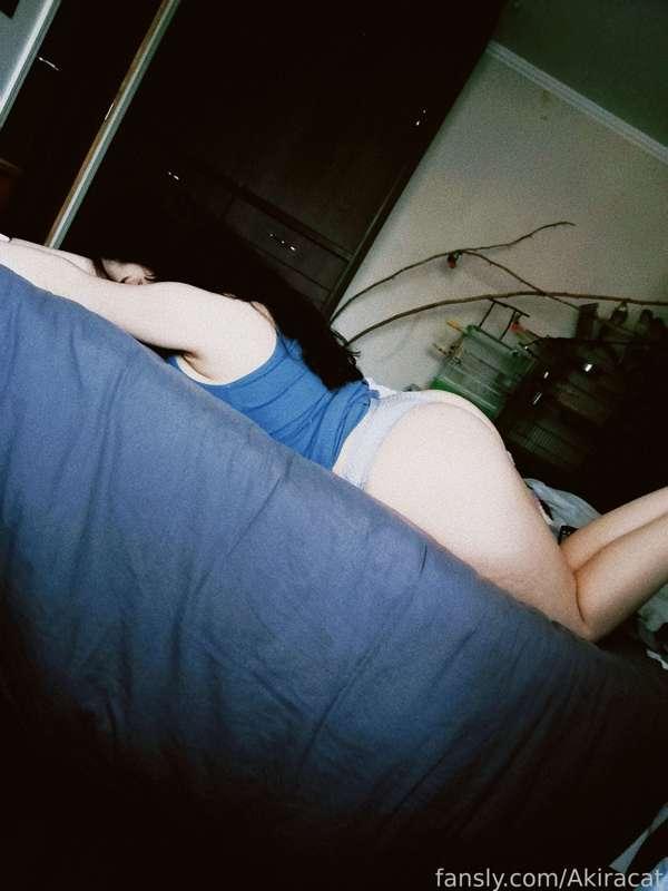 akiracat image #3