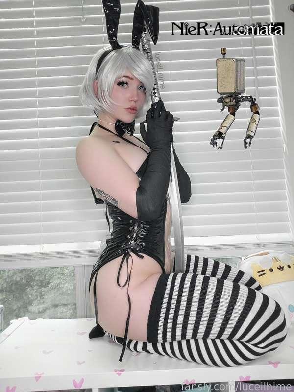 luceilhime image #0