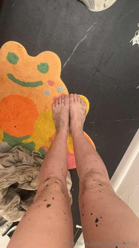 cutienovafrog image #0