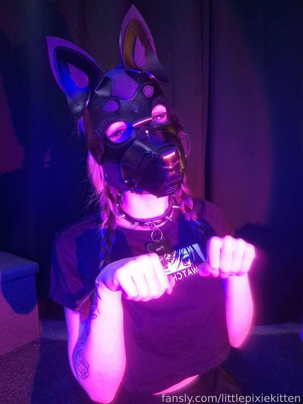 littlepixiekitten image #1