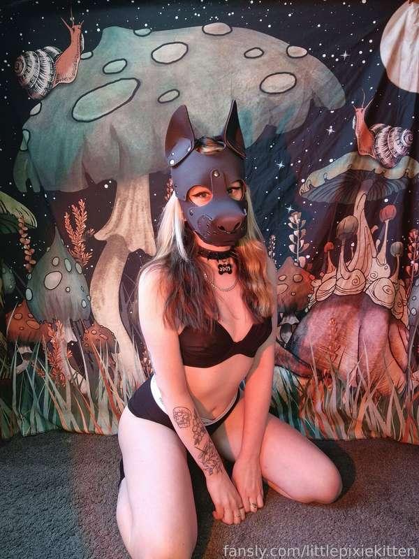 littlepixiekitten image #18