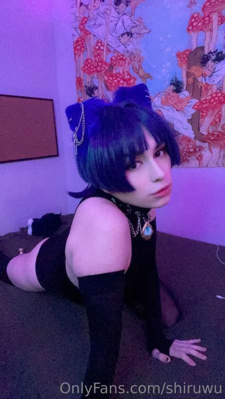 Scaramouche cat cosplay
