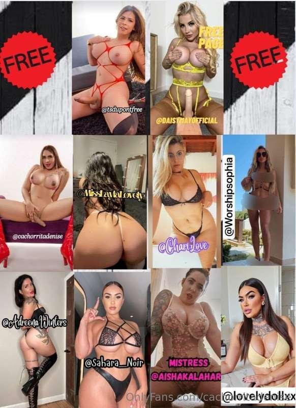 ONLYFANS FINEST FREE DOM AND TRANS CREATORS GO AND JOIN THEM..