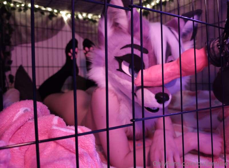 Just a good vixen having fun with her new toy ~ 