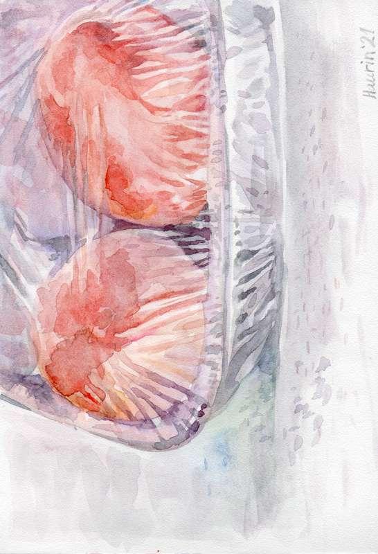 Watercolor tomatoes