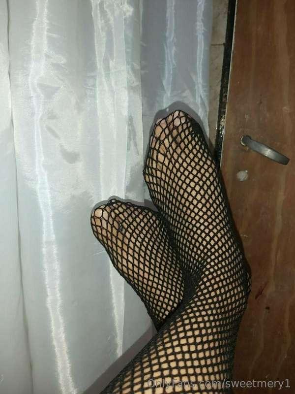 🕸️🕸️🕸️🕸️