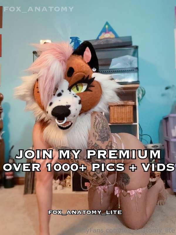 @fox_anatomy In the future I will be posting the high qualit..