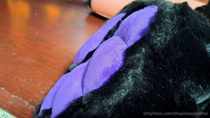 thepineapplefox image #1