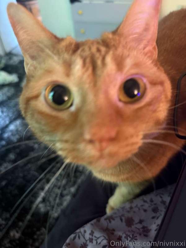 Pussy on the feed >:3 btw in case you want to see my actual ..