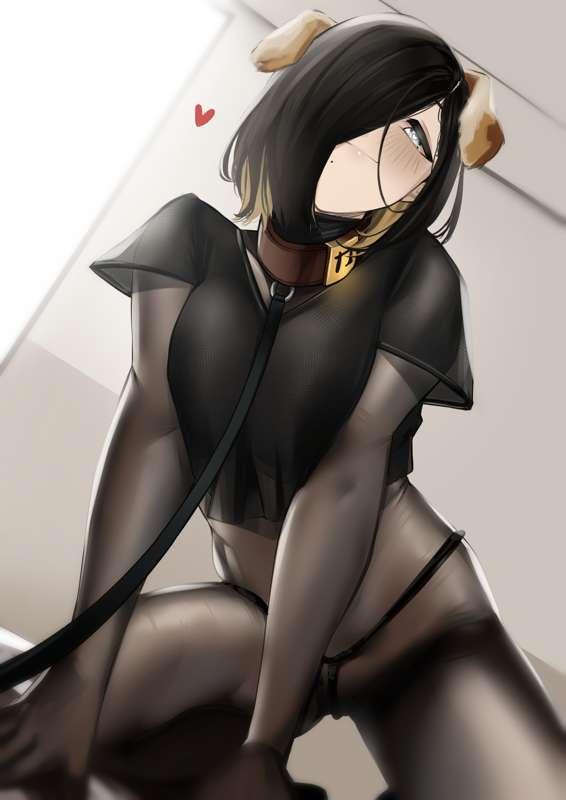 Kamuwa arf arf