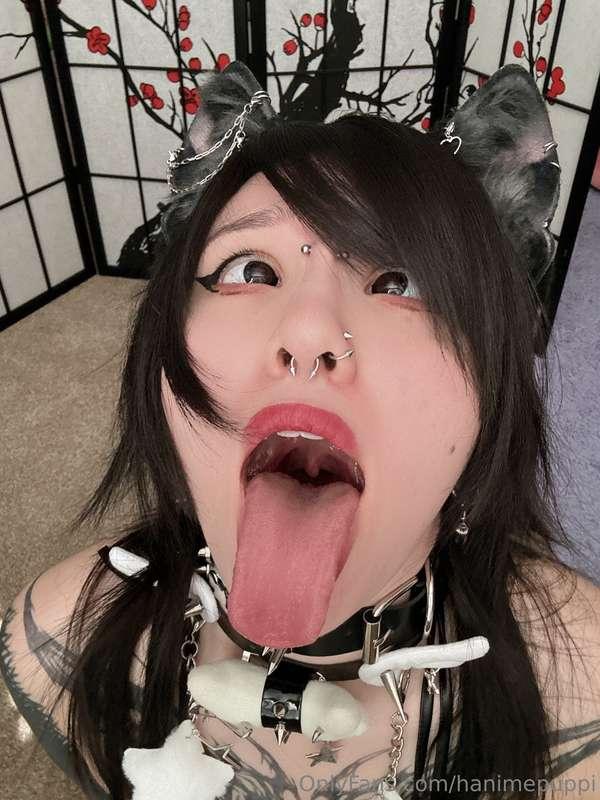 hanimepuppi image #0