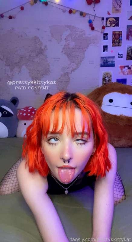 prettykkittykat image #1