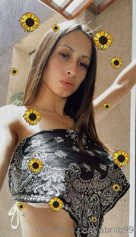 🌼🌼🌼