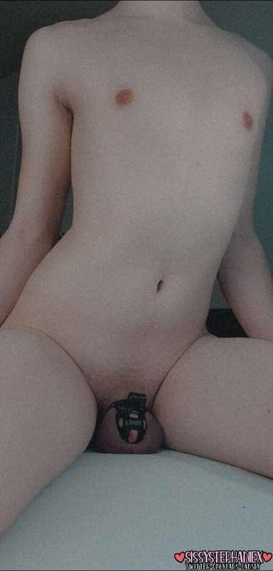 stephsis image #0