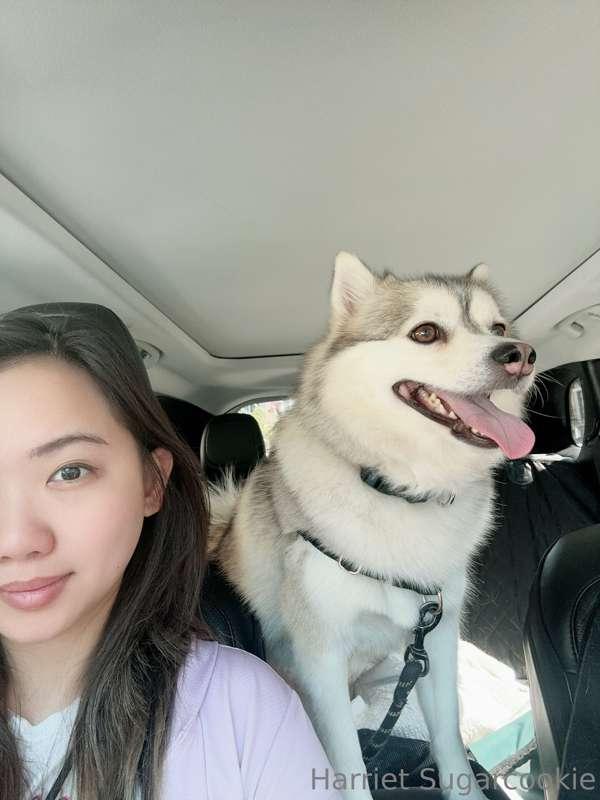 My favorite chiId. Don't tell my corgi though.