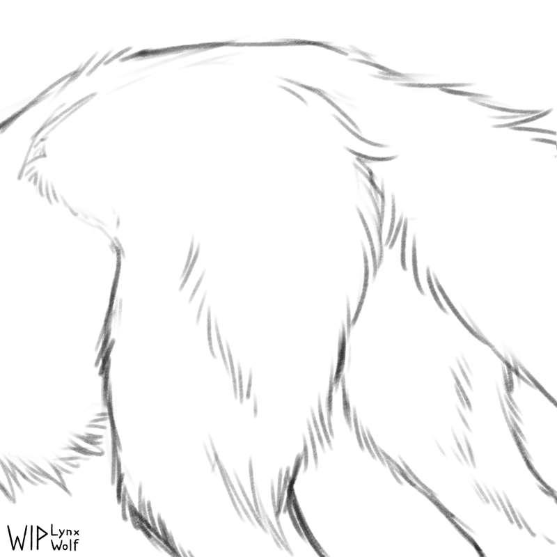 Wolf's Booty |WIPs|