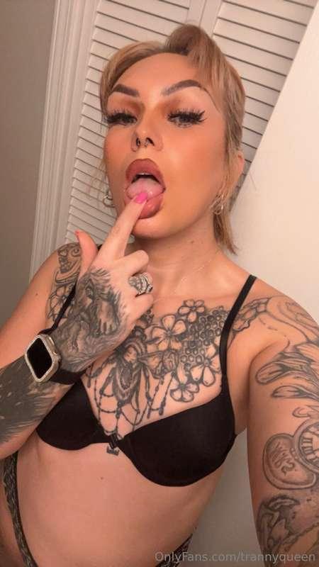 trannyqueen main image