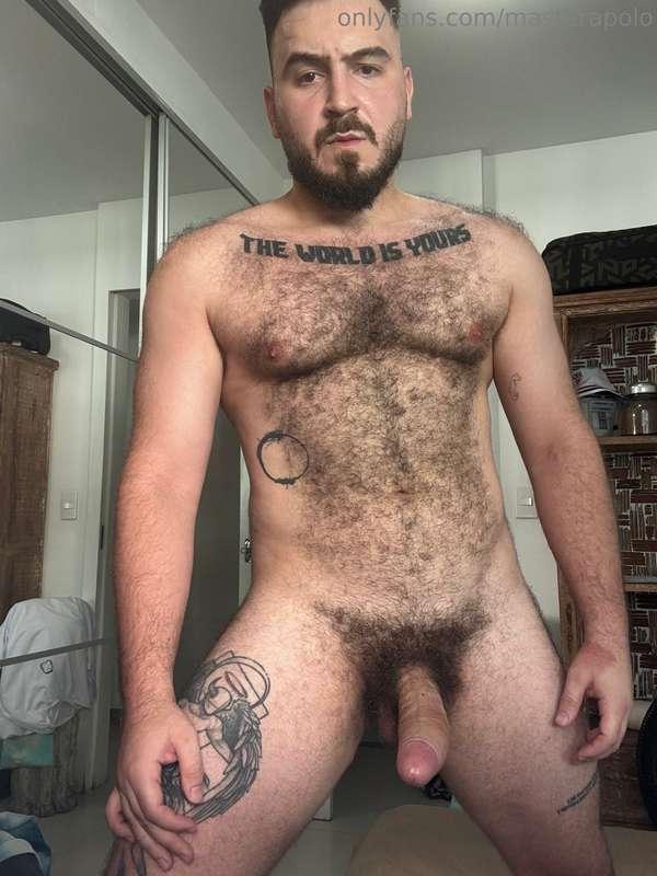 masterapolo image #3