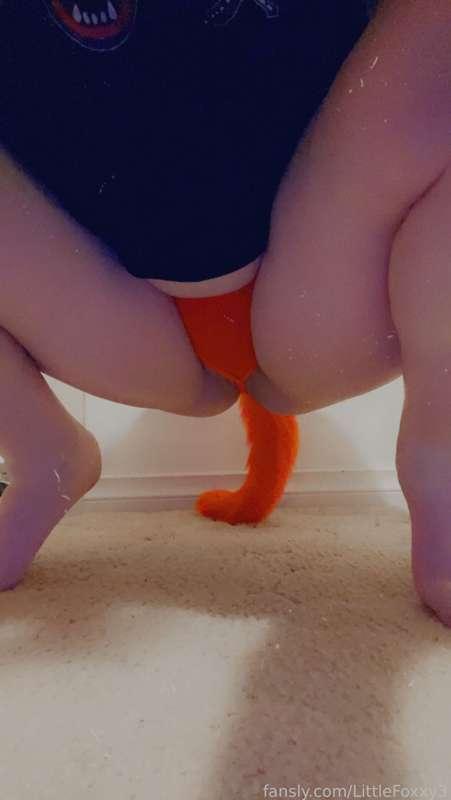 littlefoxxy3 image #1