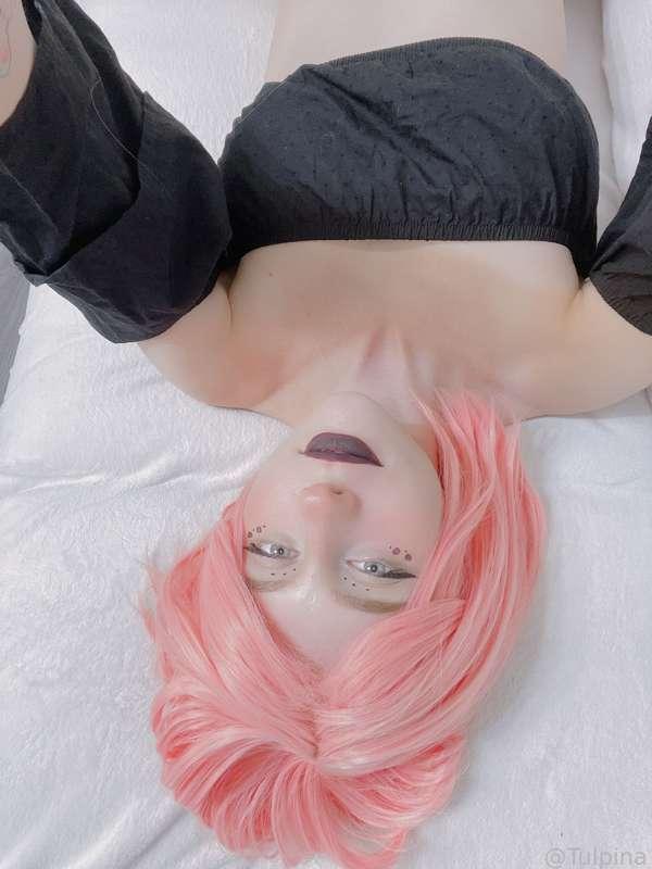 tulpina image #2