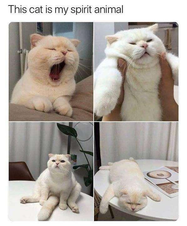 me waking up for work XD
