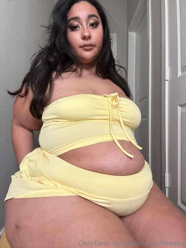 feederandfeedee image #1