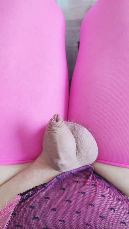 sasha_foxyq image #0