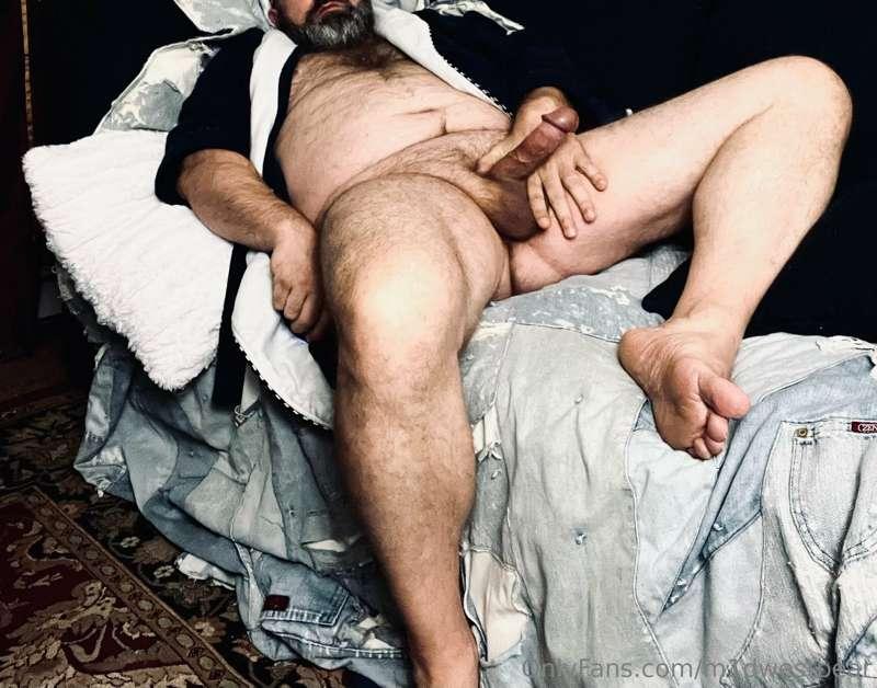 m1dwestbear image #3