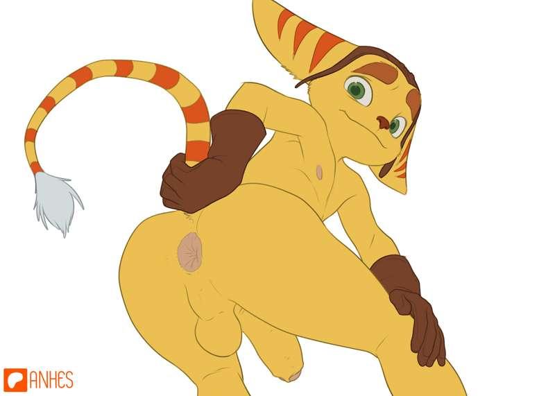 Willing ratchet - Big + sketch