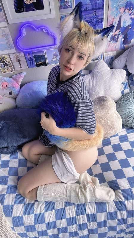 indigowhite image #67