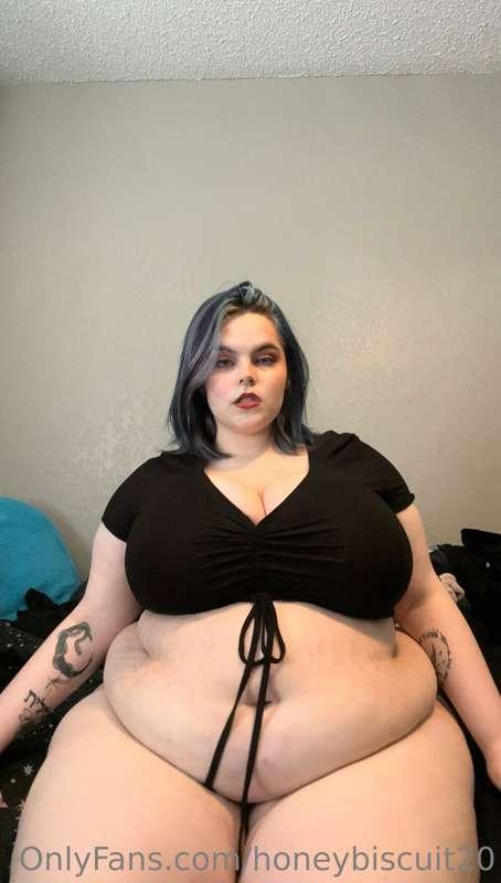 Just sent the feeder video to your dms. Should I do these mo..